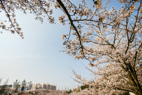 군산 은파호수공원